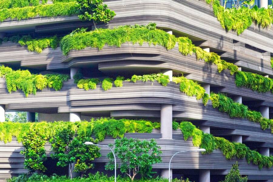 Why Entrepreneurs Should Start Their Green Businesses Now